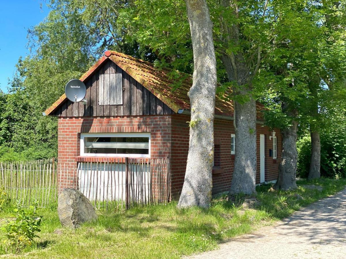 Hofgut Bisdamitz - Ferienhaus "Knoff" Екстер'єр фото