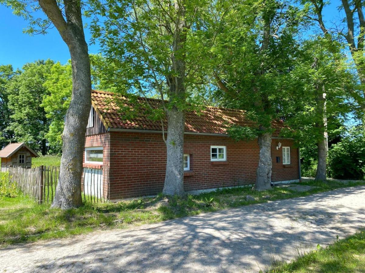 Hofgut Bisdamitz - Ferienhaus "Knoff" Екстер'єр фото